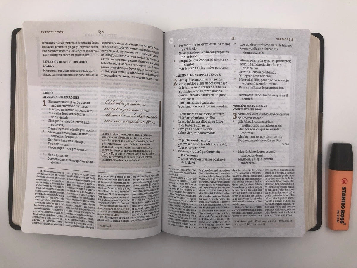 Biblia RVR 1960 de Estudio Spurgeon simi piel